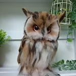 送料込みベンガルワシミミズク