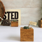 新作‼️サボテン×WOOD BASE ( No.15)