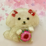 犬 ブローチ   マルチーズ