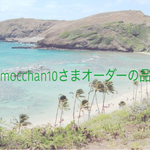 mocchanさまオーダーの品