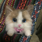 羊毛フェルトラグドール猫のブローチ