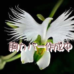 ask様専用ページ