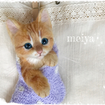 くつしたにゃんこ☆彡茶トラ