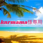 専用です⑅︎◡̈︎*