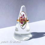 Dryflower ring -rose-