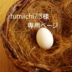 fumiichi73様専用ページ