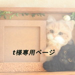 t様専用ページ