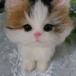 〔sakurarumila 様専用ページ〕小さい猫ちゃん🐱