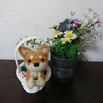 花かご★柴犬★