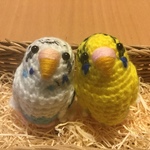 guest-5977c058さまご注文専用ページ:セキセイインコちゃん ペアセット