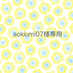 aokiumi07様専用ページ