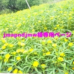 jmapndjmw様専用ページ