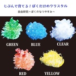 じぶんで育てる！クリスタル