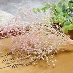 ブリザーブドフラワー かすみ草 つぼみ　かすみ草　ホワイト　