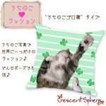 オーダーメイドクッションカバー*うちのこゴロ寝クッション