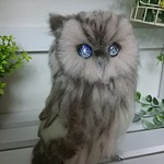 ★送料込み★羊毛フェルト製ニシアメリカオオコノハズク(宇宙の瞳)