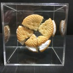 無重力ビスケット
