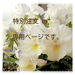   [特別注文]
