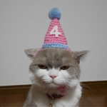 【ピンク】🎂バースデーハット 