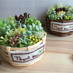 緑いっぱい寄せ植えカゴ(ホワイト)