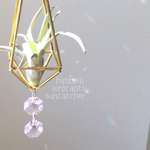 ヒンメリ エアプランツ サンキャッチャー 受注作成