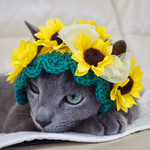 【再販1】猫用 帽子 ひまわり妖精にゃんこ🌻