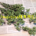 laimusyouta様専用出品