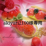 【akiyuri2100様専用】