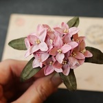 オーダー様専用　沈丁花のお花ブローチ