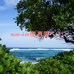 mm-km様専用ページ♡