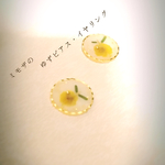ミモザのゆずピアス・イヤリング