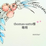 thomas-satto様専用＊ 