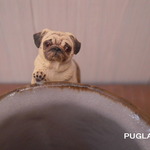 ぽぽんた様ご依頼品『パグマグ～Ｐさん「それ絶対美味しいですよね。」』