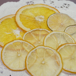 送料無料！押しフルーツ  押し花  かんきつセット