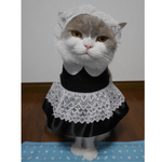 (黒) メイド服