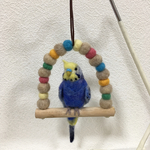 ※専用ページです※you-1qp様のインコちゃんです。