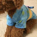 再再販  ちょっと可愛い❣️男の子の浴衣 