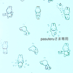 pasuteruさま 専用