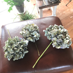 今季  紫陽花  ブルー  ドライフラワー❁