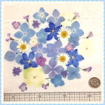 押し花＊ミックスBW③