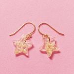 海*星の砂入り 星のピアス(イヤリング) 