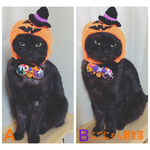ハロウィンモコモコ蝶ネクタイ猫ちゃんの首輪