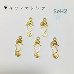 ▼タツノオトシゴ
