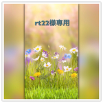 押し花＊rt22様専用
