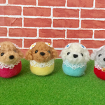 オーダーであなただけのトイプードルちゃんお作りします(((o(*ﾟ▽ﾟ*)o)))♡（敬老の日のプレゼントにもぴったり♪）