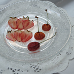 送料無料！押しフルーツ 押し花 セット