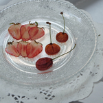 送料無料！押しフルーツ 押し花 セット