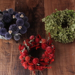 chat noir様専用(ルリタマリースのみ)ミニミニリース３個セット