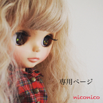 専用ページ