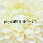 ♡pinyachi様専用ページ♡